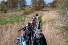 MB_blogg_7771